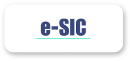 E-SIC